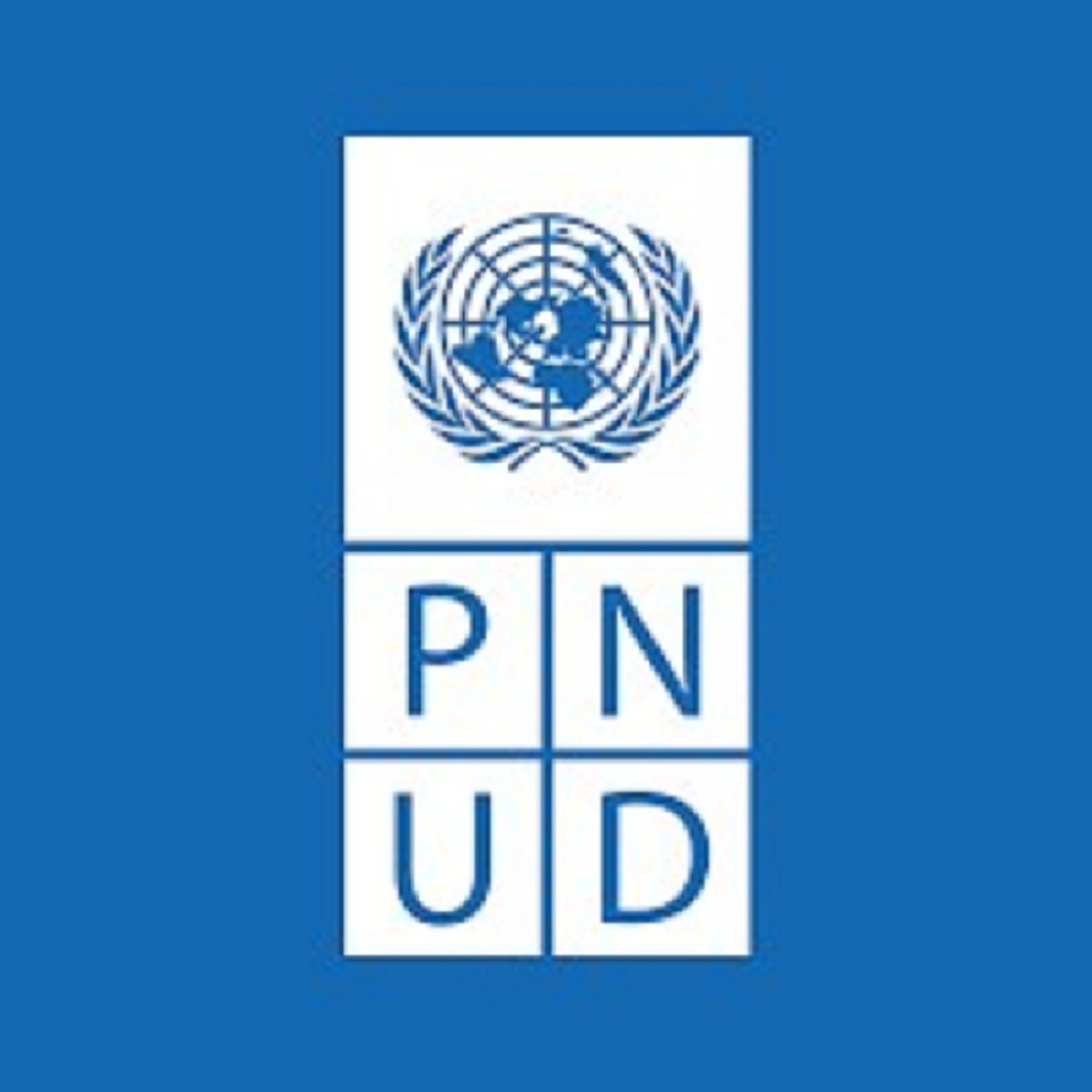 PNUD Centrafrique